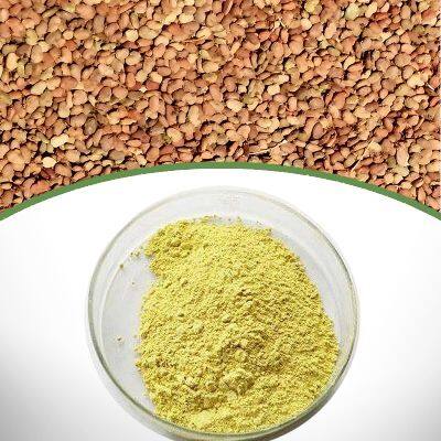 Smoke Tree Extract