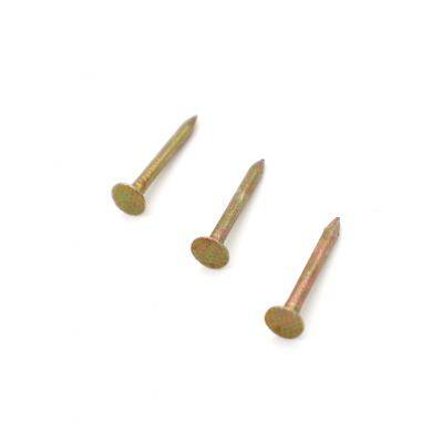 Electro Galvanized Wire Nails - Stable Quality With Mill Test Report