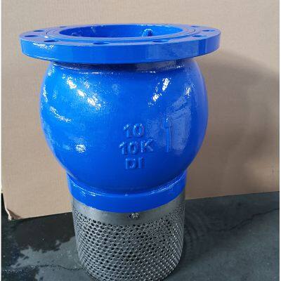 New Lift Foot Valve ANSI Pn10 Pn16 DN50-DN300 Filtered Cast Iron Body Blue Cast Iron Flanged Foot Valve photo-6