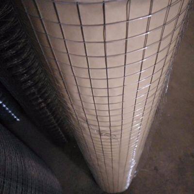 Electric Galvanized Welded Wire Mesh Rolls Square Hole 1/4