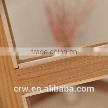 Y-1544 French Style Furniture Bookcase Wooden Filling Cabinets With Glass Doors photo-3