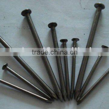 common nail/roofing nails