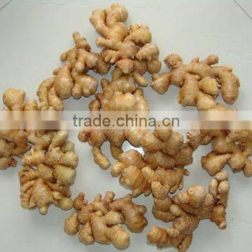 price of fresh ginger