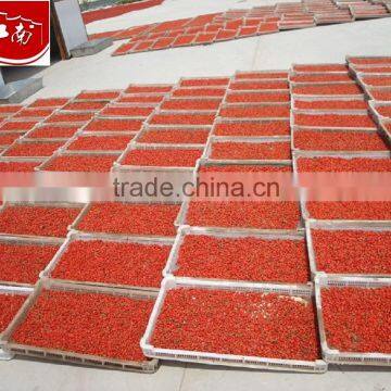 Tibet Goji Berries With Wholesale Price, Bulk Goji Berry Selling