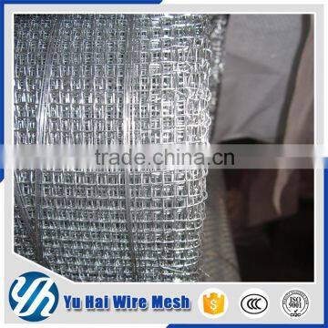 square galvanized wire mesh / square wire mesh(huge factory/good qality/low price) fence