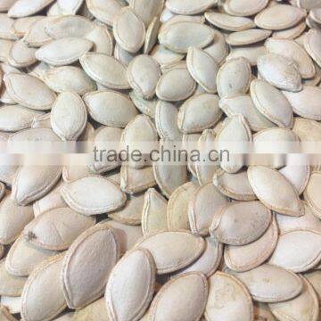 Highly Quality Barely Pumpkin Seeds/Shine Skin Pumpkin Seeds photo-3