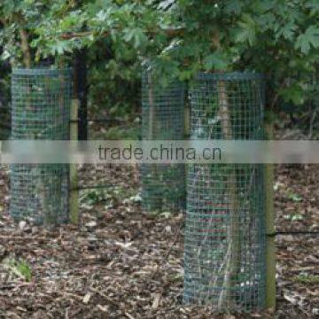 Plastic Extruded Tree Mesh Guard photo-3