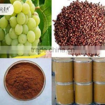 Pure Grape Seed Extract