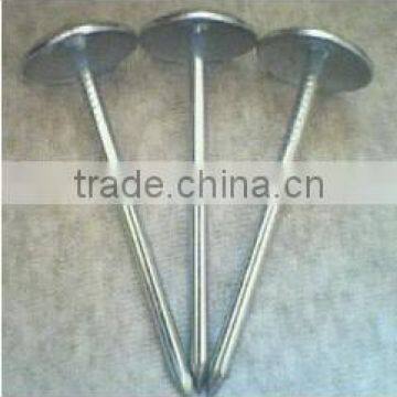 Galvanized umbrella head roofing nails with twisted shank manufacturer