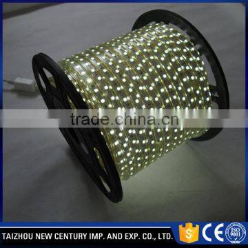 240v Steady Connectable Led Flexible Neon Strip Light
