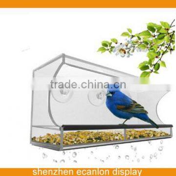 Transparent plexiglass bird feeder