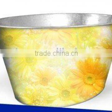 Watering Oval paint Bucket