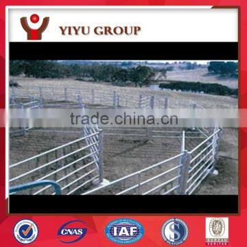 Top Sale Galvanized Steel New Zealand Cattle Yard photo-5