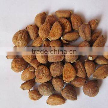 Dehydrated Roasted Garlic Clove Whole