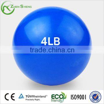 ZHENSHENG Sand Filled Weight Ball Medicine Ball