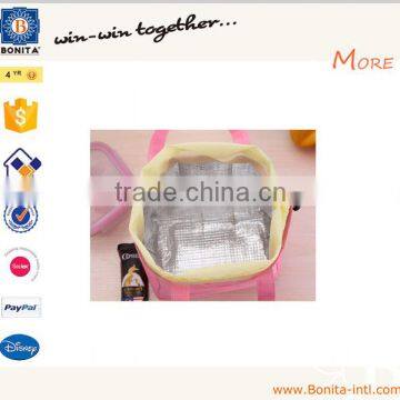 Newest Cute Cooler Bag Capacity Lunch Cooler Bag
