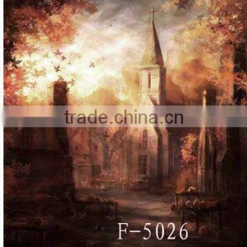Scenic Muslin Background For Photograph Studio