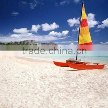 10ft x 20ft Meters Best Sale Scenery Digital Backdrop For Wedding