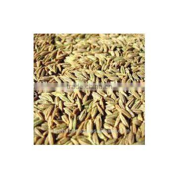 Black Cumin Seed Oil photo-3
