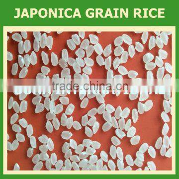 Japonica Rice - Best Quality - Best Price(Mr.Ken - Email: sales3@vinarice.vn - website: sonainter3)