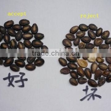 5000+pixel CCD Color Sorter, Color Sorting Machine for Cashew, Peanut, Plastic, Walnut, Dehydrated Vegetables, Fruit photo-2