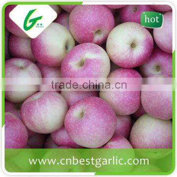 New crop class 1 fresh royal gala apple