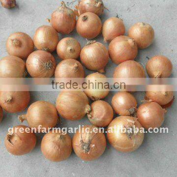 2015 Fresh Yellow Onion
