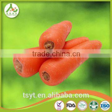 Health Food Fresh Carrot Crisp and Good Flavor Fresh Carrot Carrots photo-1