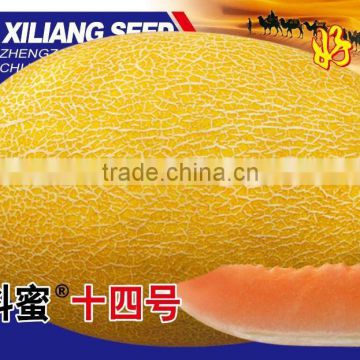 Cantaloupe seeds hybrid muskmelon seeds hami melon seeds for growing-Ke Mi No.14