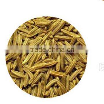 Best Price Caraway Seeds