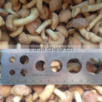 Frozen Nameko photo-3
