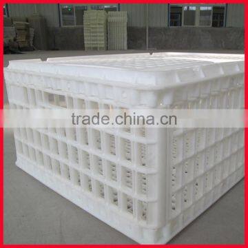 factory directly price plastic live chicken crates