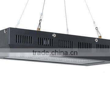 80x3 Watt 240watt Led Grow Light Old Style Cheap Led Grow Light photo-4