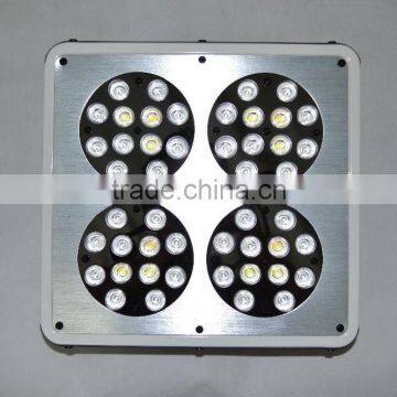 Hot Selling Indoor Garden Zhejiang 4 Led Grow Light Hydroponic photo-6