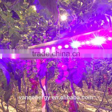 150w LED Grow Light Bar BEAMNOVA Full Spectrum for Hydroponic Garden Growing