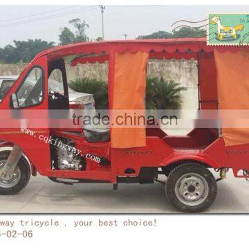 Chongqing Petrol Powered Rickshaw Tricycle With Canopy for Adult/Piaggio Three Wheeler Price photo-2