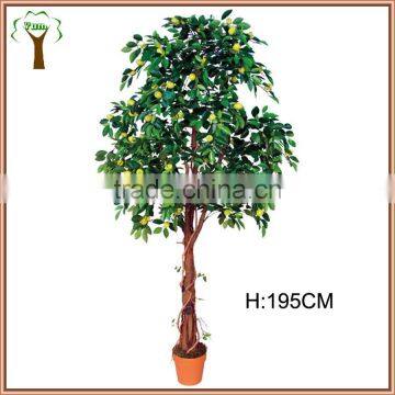 plasticated lemon tree in 195cm high for residence decoration