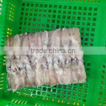 Hot Sale Whole Round Frozen Baby Squid photo-5