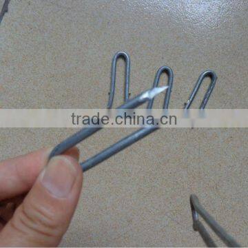U Type Steel Nails China Supplier photo-2