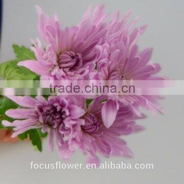 Oriental Cut Fresh Flowers Small Chrysanthemum Pink