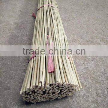 8~10mm * 120cm Dried Tonkin Bamboo Sticks