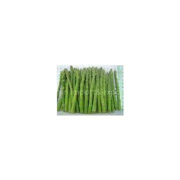 Healthy IQF Quick Frozen Root Vegetables , New Crop Frozen Green Asparagus