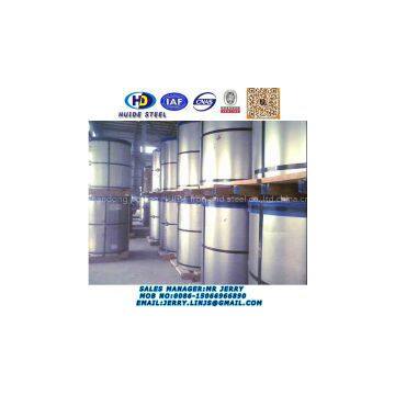 Print/Desinged Prepainted Galvanized Steel Coil (PPGI/PPGL)