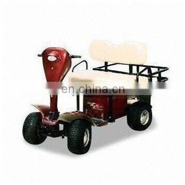 Hot Selling 2 Seater Small Golf Buggy