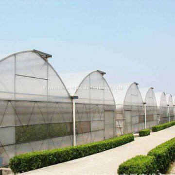 Agricultural multi-span hot galvanized steel greenhouse frame for tomato