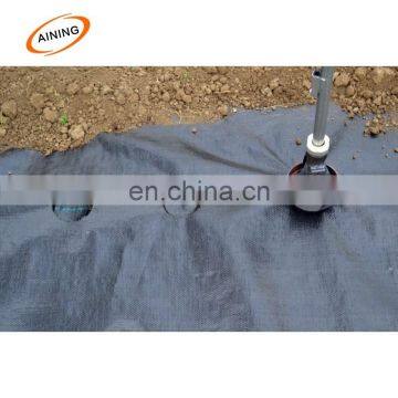 HDPE Plastic PP Agricultural Ground Cover with Holes