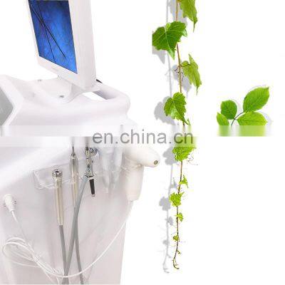2020 New Arrival Water Oxygen Jet Facial Machine Skin Test Deep Cleaning Hydration Lifting Skin Care Beauty Instrument