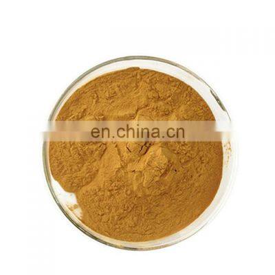 Organic Dried Pure Ginkgo Biloba Leaf Powder Ginkgo Biloba Extract