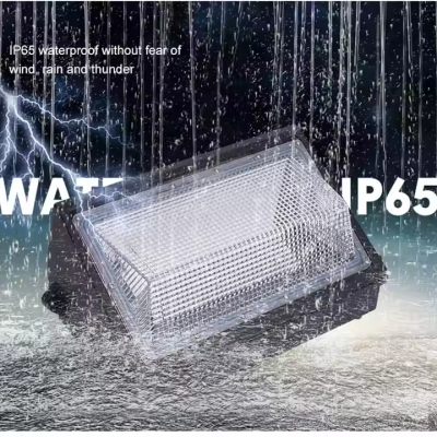 Garden Ligthling Ip65 Waterproof Outdoor Wall Mounted Lights Outside 60w 100w 120w Led Wall Lamp photo-4
