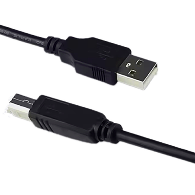 High Speed Data Cable USB a to C Cable 1ft 3ft 6ft 10ft USB2.0 3A Fast Charging Cable photo-5